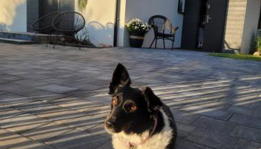 Apartamenty MEDUZA - Foto 3