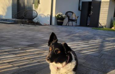 Apartamenty MEDUZA - Foto 3