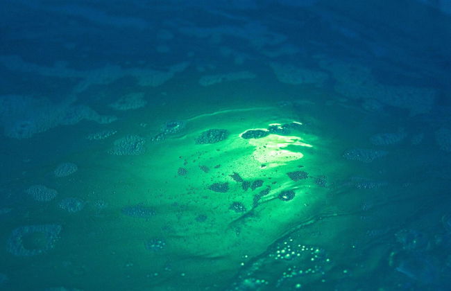 Chalet in Inzell With Alps & Whirlpool - Photo 41