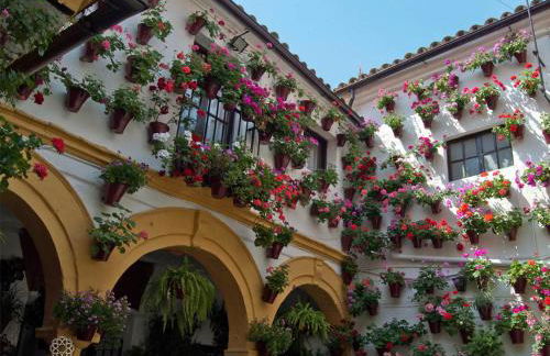 Dúplex-Ático de Nácar Casco Histórico - Foto 19