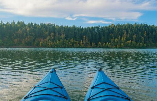 Brand New Rental Ohop Oasis! - Foto 31