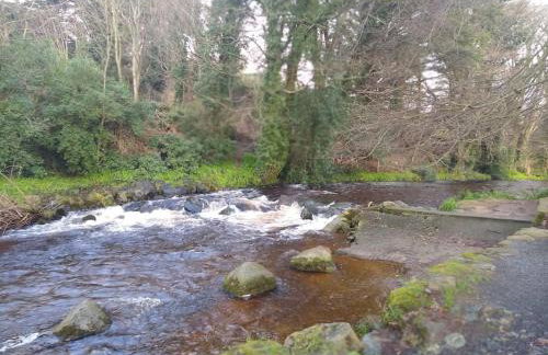 Ryan's Cottage - Photo 31