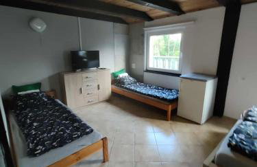 zielono mi - Foto 14