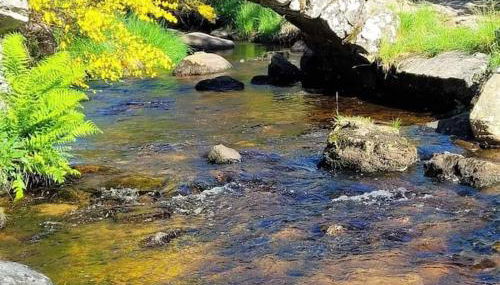 Maison dans un havre de paix - Foto 5