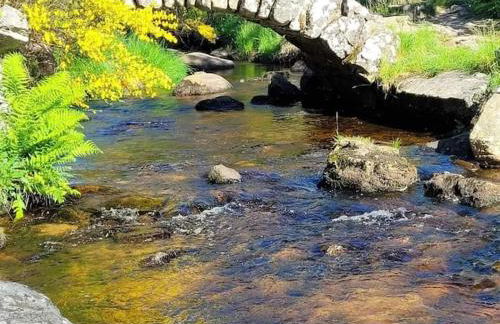 Maison dans un havre de paix - Foto 5