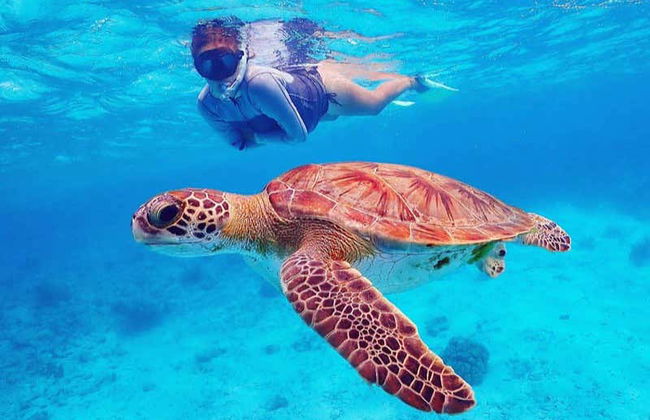 Snorkeling a Bonaire - Foto 2