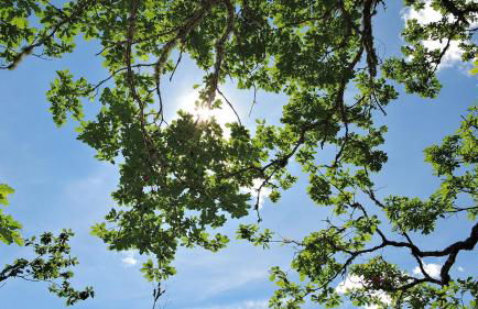 Casa Gloria - Foto 34