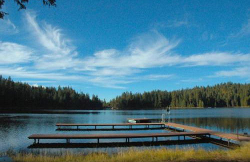Sequoia Splendor, inside Kings Canyon NP by Visitors Center - Foto 72