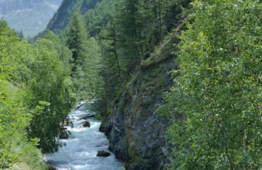 Tranquillité et authenticité au pied des Ecrins - Photo 10