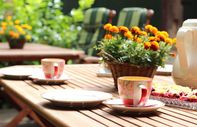 Hainich-Ferienhof - Foto 22