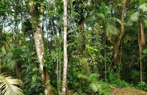 UBATUBA, SP - BRASIL - PRAIA DO FELIX - Casa do Aconchego - Foto 27