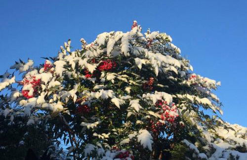 A CASA DI SISSI - Foto 26