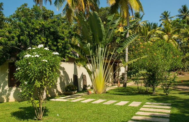 Modern Luxury 03 Bedroom Villa - Photo 28