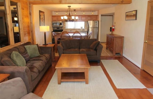 Seven Springs 1 Bedroom Deluxe Condo, Pet Friendly! by RedAwning - Foto 3