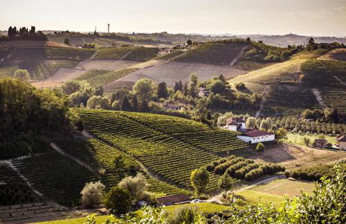 Villa Vinory - La Mandragola - Foto 24