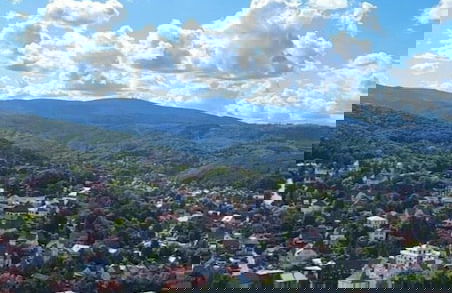 Ferienhaus in Blankenburg - Foto 39