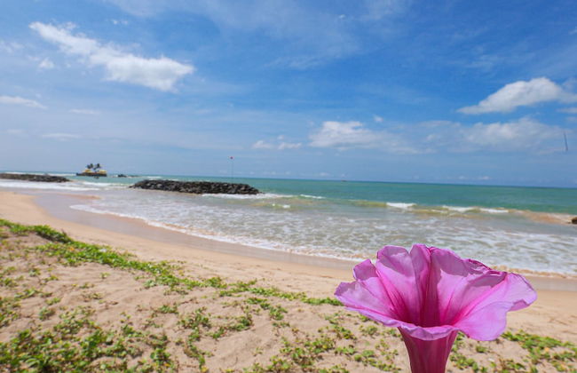 Sea View Villa - Photo 30