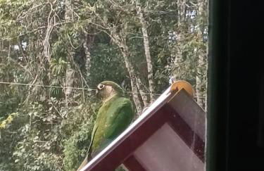 Cabana aconchegante na natureza - Foto 9