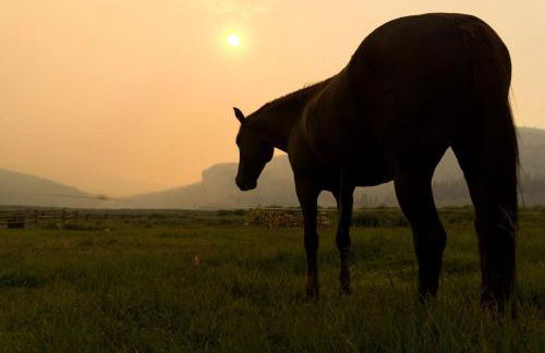 Charming Alpine Log Cabin for Family Vacation near Cora, Wyoming - Photo 15