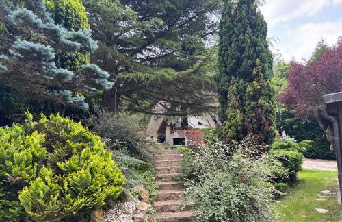 La Chaumière Luxury Domain with 2 Apartments Spa and Pool near Disneyland - Foto 25