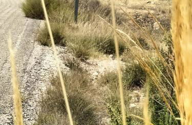 Casas Rurales Mirador del Taibilla - Foto 59