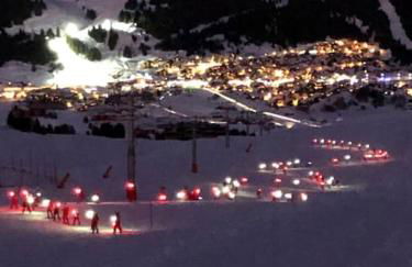 La Perle des Alpes C10 Apart.4* #Yolo Alp Home - Foto 37