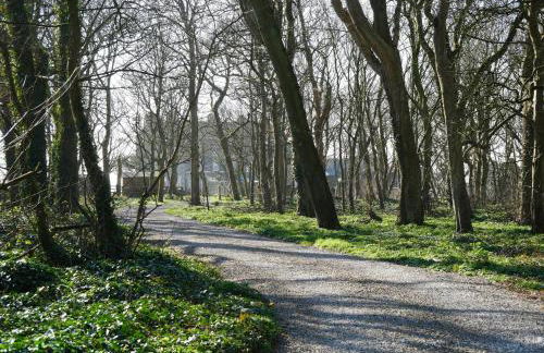 St Brides View Solva - Photo 6