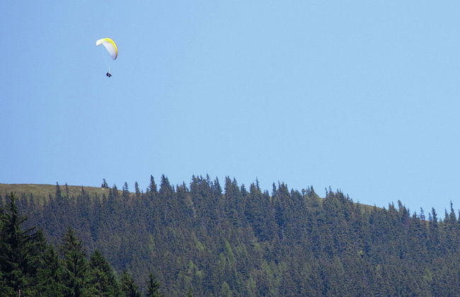Beautiful Apartment With Large, Sunny Balcony - Foto 20
