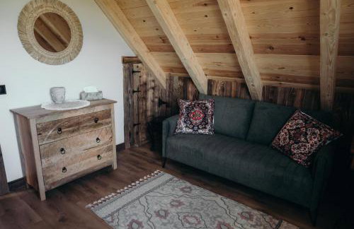 Mech i brzoza - Foto 25