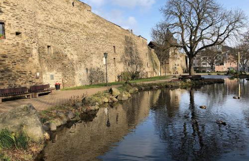 Ferienwohnung "am Ochsentor" - Foto 13