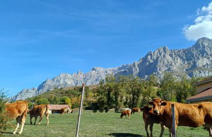 Casa Ludi Valdeon - Foto 20