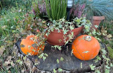 Dom Pod Dębem Agroturystyka - Foto 24