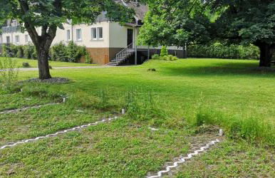 Niederwald - Foto 23