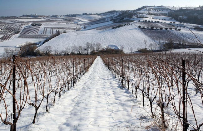 Villa Venti - Foto 38