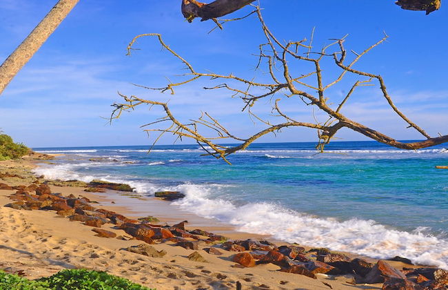 Mirissa Beach Villa - Photo 42