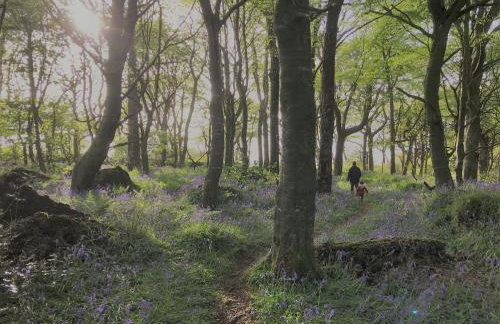 Higher Trewithen - Photo 39