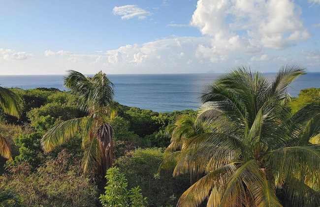 Chez Mango Villas - Foto 50