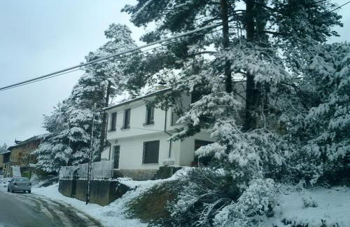 Fuente del Pino Cañón de Río Lobos - Foto 44