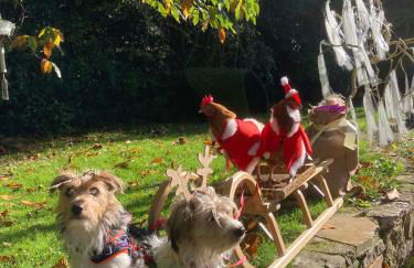 Unique Artists studio with a private garden. - Foto 18