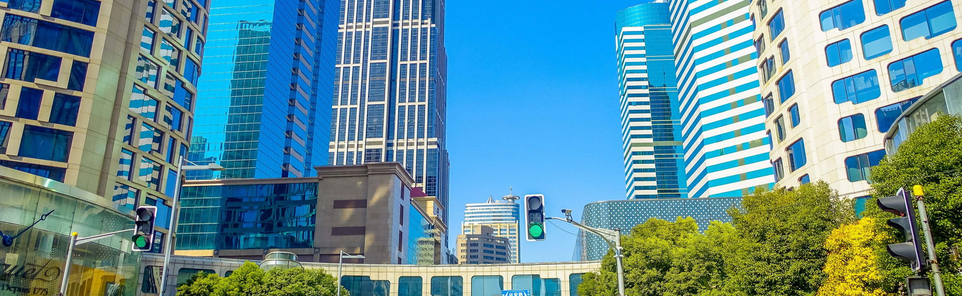 Private Modern Shanghai Guided Tour