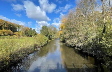 La maison d'Apolline - Photo 17