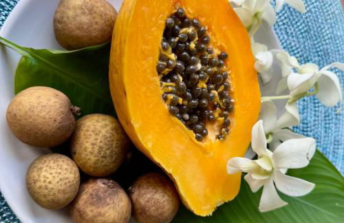 Ocean view Mauna Loa Shores Kai Ekahi #201 next to Carlsmith Beach Park Hilo HI - Foto 34