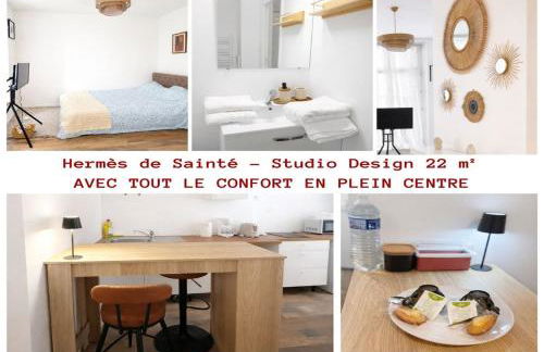 Hermes de Saint-Etienne proche gare Châteaucreux - Foto 1