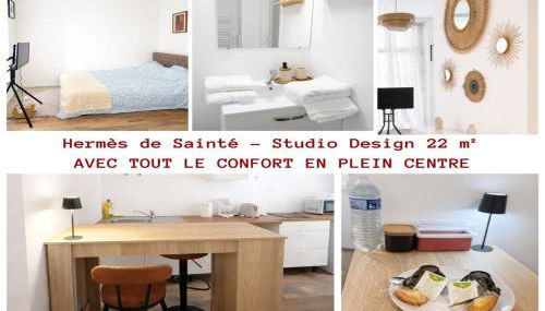 Hermes de Saint-Etienne proche gare Châteaucreux - Foto 1