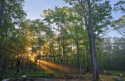 Serenity Cabin - Cozy Mountain retreat - Photo 19