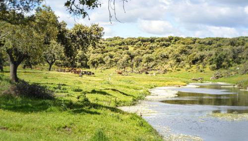 Casa Rural con piscina El Huerto del Olivo, Plasezuela, Trujillo, Cáceres - Foto 2