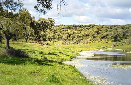 Casa Rural con piscina El Huerto del Olivo, Plasezuela, Trujillo, Cáceres - Foto 2