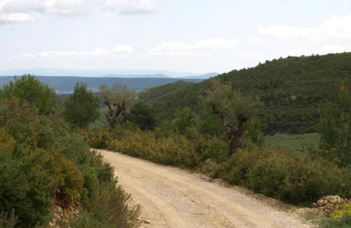 Masia Heredad La Boquilla - Foto 111