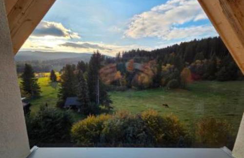 Schwarzwaldblick Rothaus - Foto 18