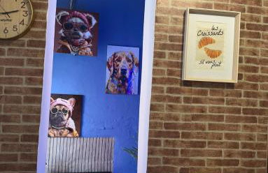 Orion House - Foto 12